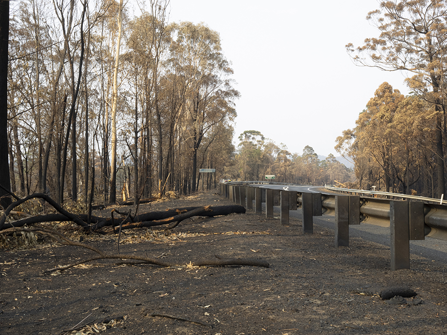 NSW Currowan fire